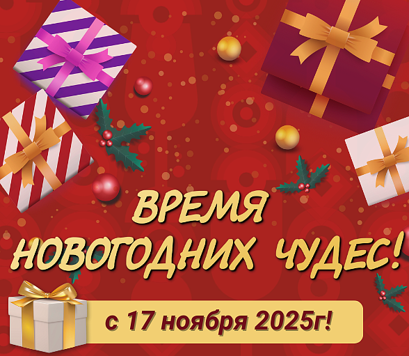 ВРЕМЯ НОВОГОДНИХ ЧУДЕС! ВРЕМЯ НОВОГОДНИХ ЧУДЕС!