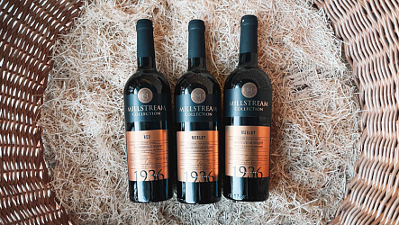 ЗГУ: что это за термин в виноделии